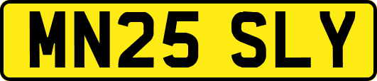MN25SLY