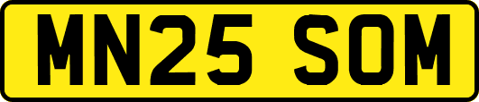 MN25SOM