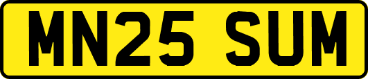 MN25SUM