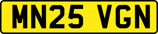 MN25VGN
