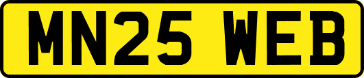 MN25WEB