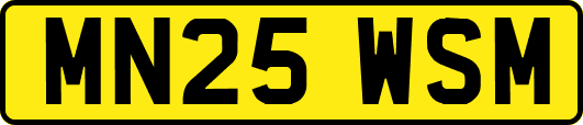 MN25WSM