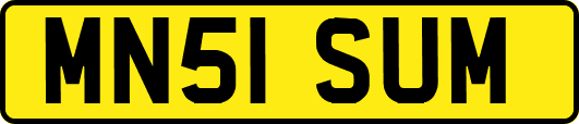 MN51SUM