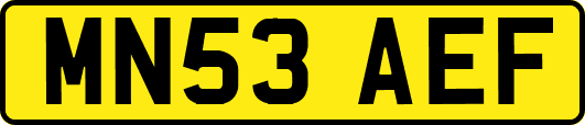 MN53AEF