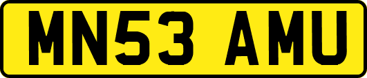 MN53AMU