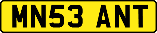 MN53ANT