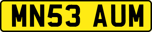 MN53AUM