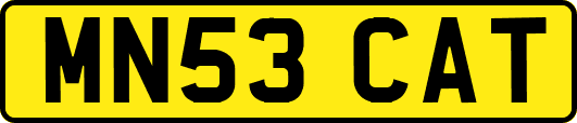 MN53CAT