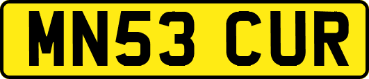 MN53CUR