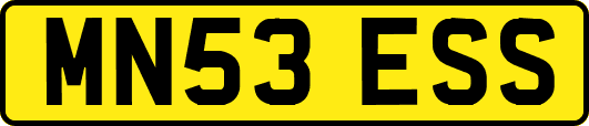 MN53ESS