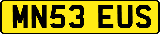 MN53EUS
