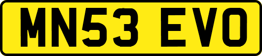 MN53EVO