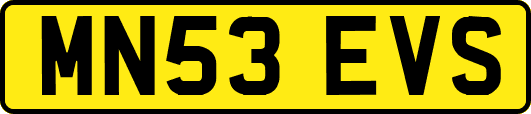 MN53EVS