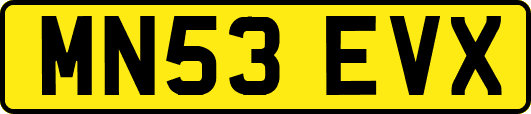 MN53EVX