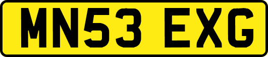 MN53EXG