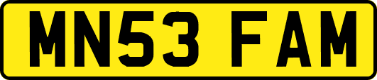 MN53FAM