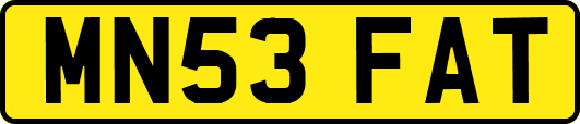MN53FAT