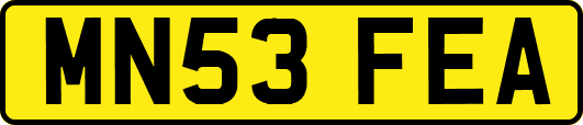 MN53FEA