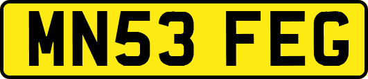 MN53FEG
