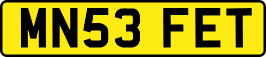 MN53FET