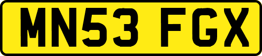 MN53FGX