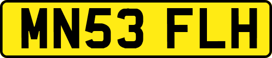 MN53FLH
