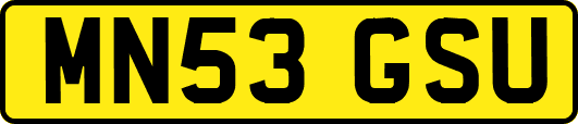 MN53GSU