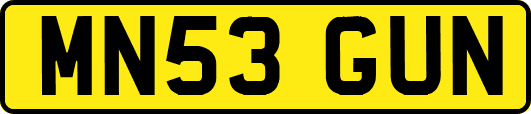 MN53GUN