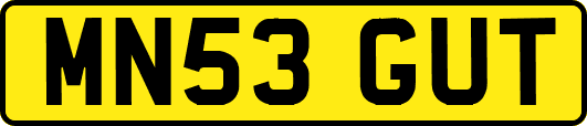 MN53GUT