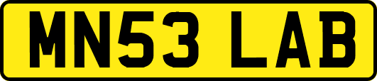MN53LAB