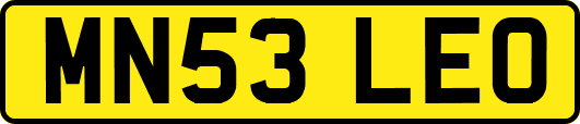 MN53LEO