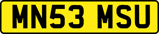 MN53MSU