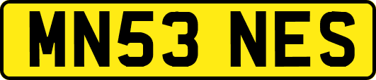 MN53NES