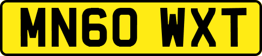 MN60WXT