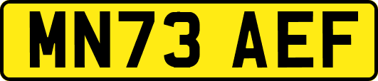 MN73AEF