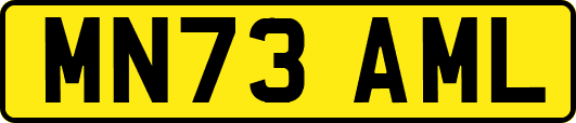 MN73AML