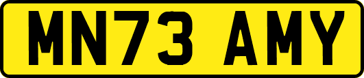 MN73AMY