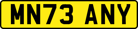 MN73ANY