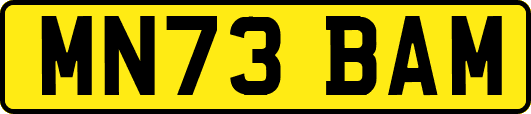 MN73BAM