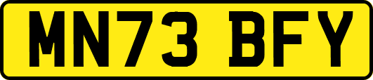 MN73BFY