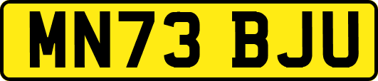 MN73BJU