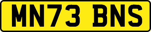 MN73BNS
