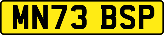 MN73BSP