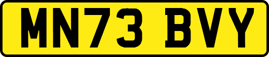 MN73BVY