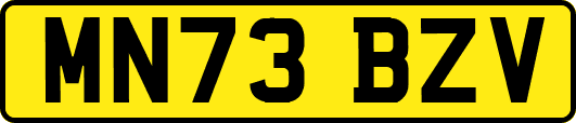 MN73BZV