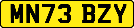 MN73BZY