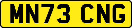 MN73CNG