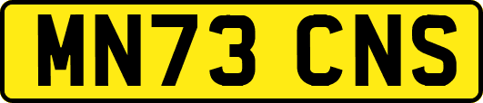MN73CNS