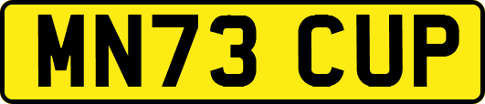 MN73CUP