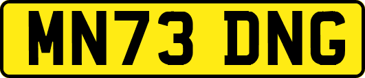 MN73DNG